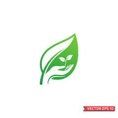 Hand Holding Plant Leaf Icon Logo