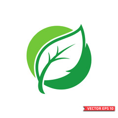 Green Leaf and Circular Eco Logo with Branch for Sustainability Concep
