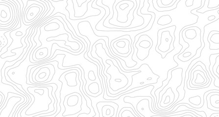 Topographic map lines, contour background. Topography background. Vector banner. Topography map background.  © Mst