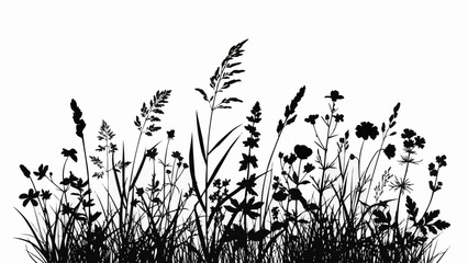 Silhouette of Wildflowers and Grasses.