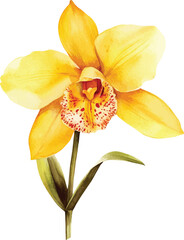 Vibrant Yellow Orchid Watercolor Illustration