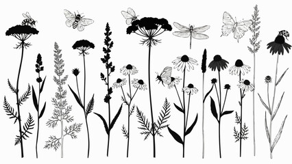 Silhouette Collection of Wildflowers and Insects in a Meadow. © Rio