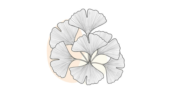 Elegant line art illustration of a ginkgo biloba branch with delicate, fan-shaped leaves set against a soft abstract background.