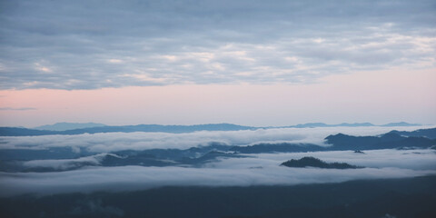 Landscape of greenery mountains and the sea of fog before sunrise