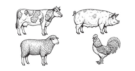 Farm Animal Vintage Engraving Set For Rustic Packaging Design
