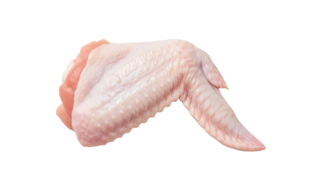 Raw chicken wing isolated PNG on transparent background, uncooked poultry part for food preparation and cooking - Powered by Adobe