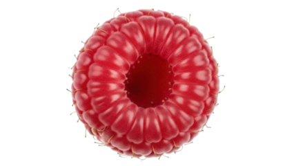 Vibrant red raspberry isolated PNG on transparent background, fresh and juicy fruit for healthy eating and summer dessert concepts