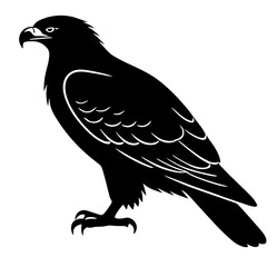 Obraz premium Perched Eagle Silhouette with Detailed Feathers and Talons