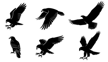 Fototapeta premium Eagle Silhouette Set Showing Flying and Landing Birds of Prey in Motion