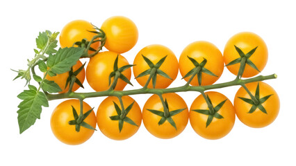 Branch of yellow cherry tomatoes PNG isolated on transparent background, fresh and vibrant produce for healthy eating concepts