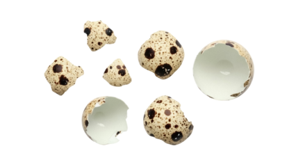 Speckled quail eggshells PNG isolated on transparent background, broken bird eggs for Easter and culinary design elements