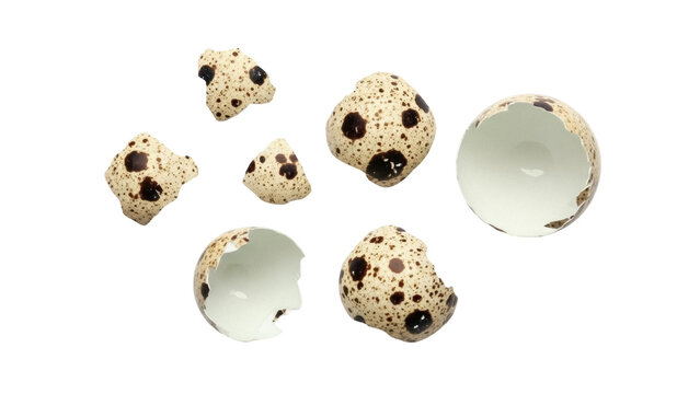 Speckled quail eggshells PNG isolated on transparent background, broken bird eggs for Easter and culinary design elements - Powered by Adobe