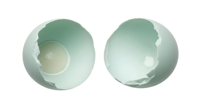 Broken duck eggshell halves PNG isolated on transparent background, cracked light blue egg for Easter and spring design