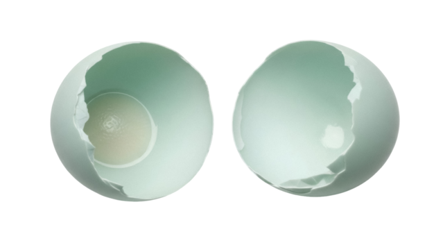 Broken duck eggshell halves PNG isolated on transparent background, cracked light blue egg for Easter and spring design - Powered by Adobe