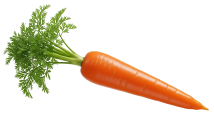 Fresh orange carrot with green leaves isolated PNG, healthy vegetable for cooking and vegetarian diet on transparent background