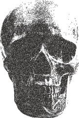 Skull retro y2k stipple design skeleton halftone brutalist urban vector png with clear background, bone 2000s photocopy grunge tattoo gen z effect