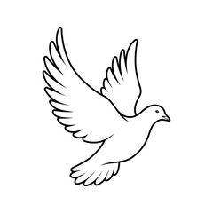 Fototapeta premium bird dove pigeon peace vector flying animal