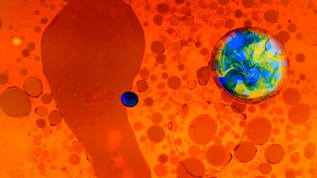 Authentic psychedelic liquid light show using the same methods as 1960's and 1970's projections at classic acid rock shows. No digital edits.