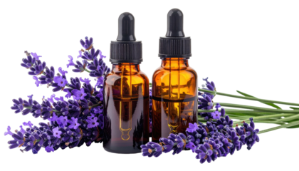 Amber glass bottles of liquid beside vibrant purple lavender flowers