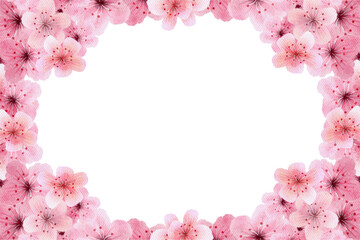 Cherry blossoms in full bloom frame