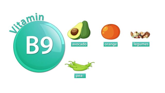 Vitamin B9 Sources Animation With Avocado, Orange, Legumes, Peas, Cabbage, Capsicum