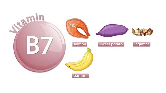 Vitamin B7 Sources Animation With Food Illustrations and Labels