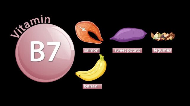 Vitamin B7 Biotin Sources Animation with Food Illustrations