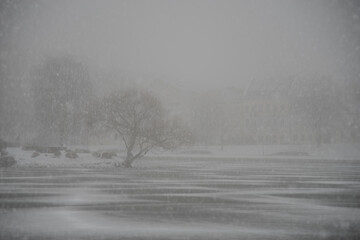 Snowfall in the city. Minsk