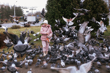 Senior woman feeding large flock of pigeons in city. Gentle human-animal connection and daily city life. Everyday urban moment.