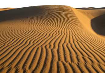 Golden sand dunes with rippled patterns in the desert isolated on transparent background
