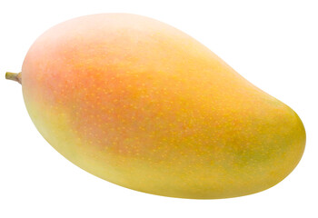 Sweet Yellow and Pink Mango isolated on white background, Elegant Yellow and Pink mango fruits on white  PNG File.