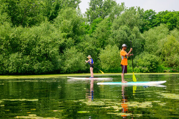 Two people stand on paddleboards with yellow paddles on calm water near a tree-lined shore at Toronto Islands; patches of aquatic plants and reflections visible.
