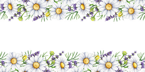 Chamomile with lavender flowers seamless border decor element watercolor illustration. Hand drawn lavender stems and chamomile blossoms floral frame rustic decoration element on white background © anitapol
