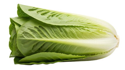 Fresh romaine lettuce isolated PNG, vibrant green leaves of healthy salad ingredient on transparent background for culinary and dietary designs