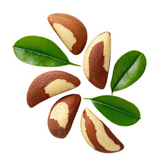 Brazil Nuts and Green Leaves Arrangement isolated on a transparent background