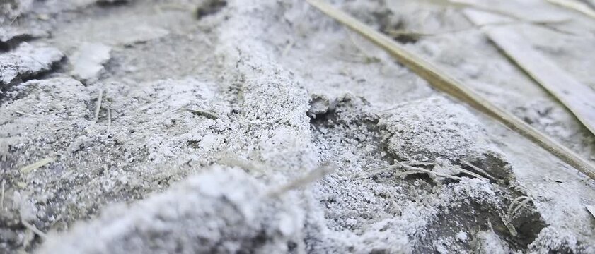 Dry Salinity Soil 4k video.