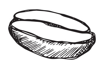 Fototapeta premium Hand drawn fresh roasted coffee bean Arabica robusta seed doodle Single element for print, web, design, decor