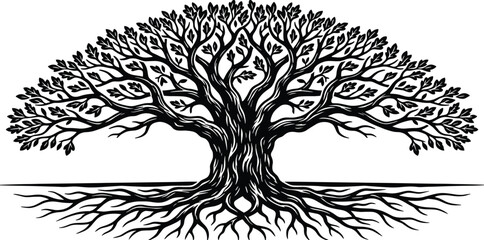 Big old oak tree with spreading roots, black and white vector illustration, nature silhouette, woodcut style, detailed isolated sketch, organic plant. © RABBI