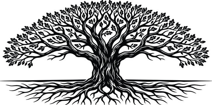 Big old oak tree with spreading roots, black and white vector illustration, nature silhouette, woodcut style, detailed isolated sketch, organic plant.