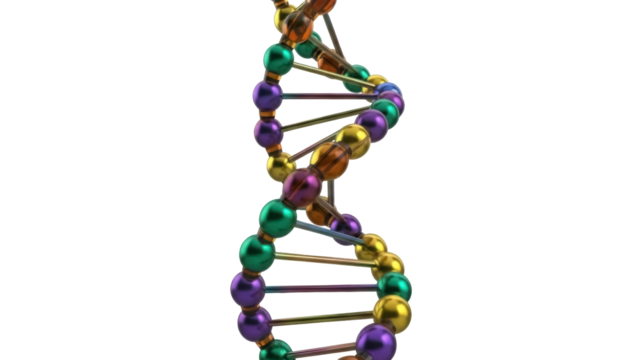 Colorful DNA molecule model isolated PNG on transparent background, genetic code structure for science and medical research - Powered by Adobe