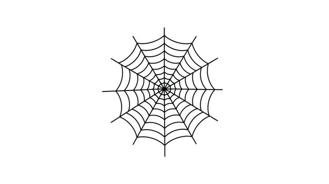 Detailed spiderweb design with radiating lines a striking visual silhouette
