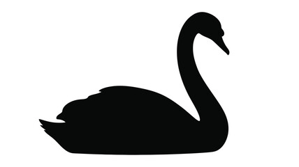 Elegant swan in profile view a striking black and white silhouette © DELRUBA