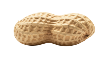Single peanut in shell isolated PNG, close-up of textured brown legume on transparent background, healthy snack and ingredient for cooking
