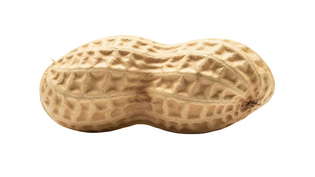 Single peanut in shell isolated PNG, close-up of textured brown legume on transparent background, healthy snack and ingredient for cooking