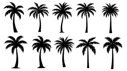 Naklejka premium Stylized vector palm tree silhouette clipart set with bold black outlines, clean curves, and a balanced symmetrical layout, perfect for minimalist design projects.