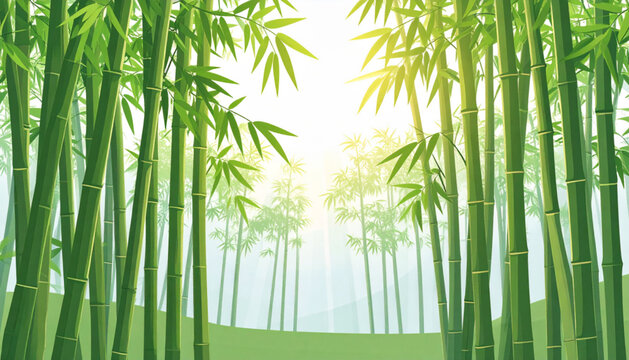 Flat Bamboo Forest Sunbeams