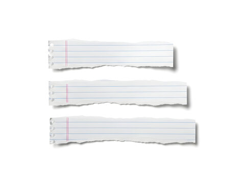 Three torn strips of lined notebook paper with shadows on a white background.