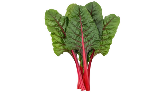 Fresh red chard isolated PNG on transparent background, vibrant leafy greens for healthy eating and culinary design
