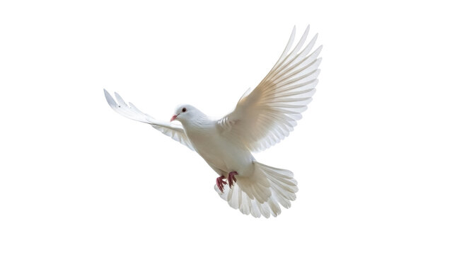Elegant white dove flying PNG isolated on transparent background, symbol of peace and freedom, graceful bird for design projects