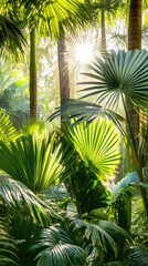 Obraz premium Sunlight beams through lush, vibrant tropical foliage